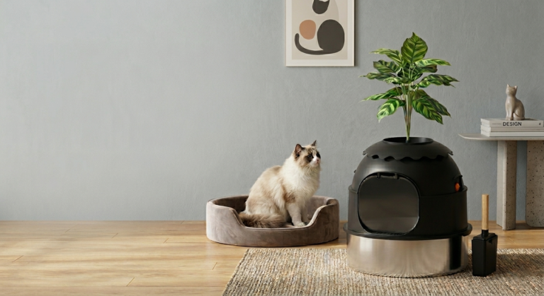 Common Pain Points of Traditional Cat Litter Boxes And Ideal Solutions