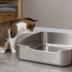 Adult tabby cat inspecting a large stainless steel litter tray with rounded corners and a lowered front entry