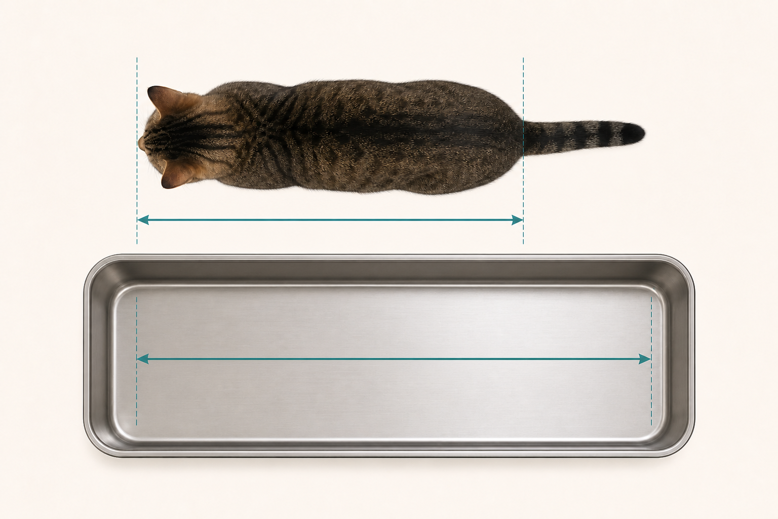 Top-down measurement illustration comparing a cat's nose-to-tail-base length with a longer stainless steel litter tray interior