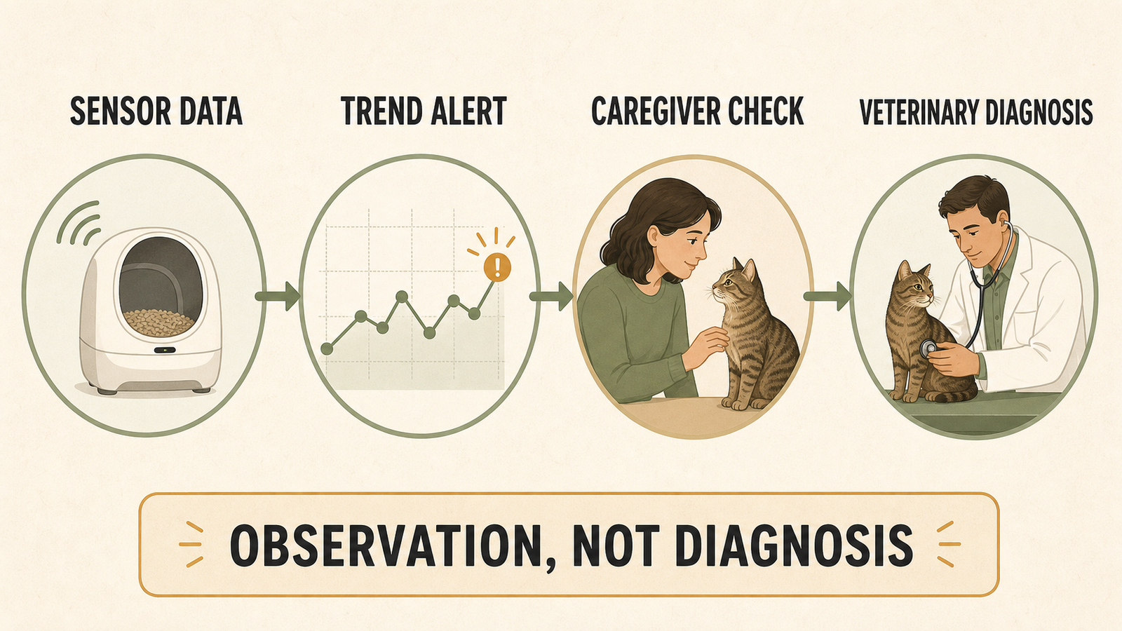 Four-stage workflow from smart litter box sensor data to trend alert, caregiver check, and veterinary diagnosis